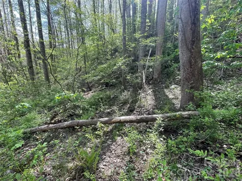99999 Martins Creek Road Barnardsville NC 28709
