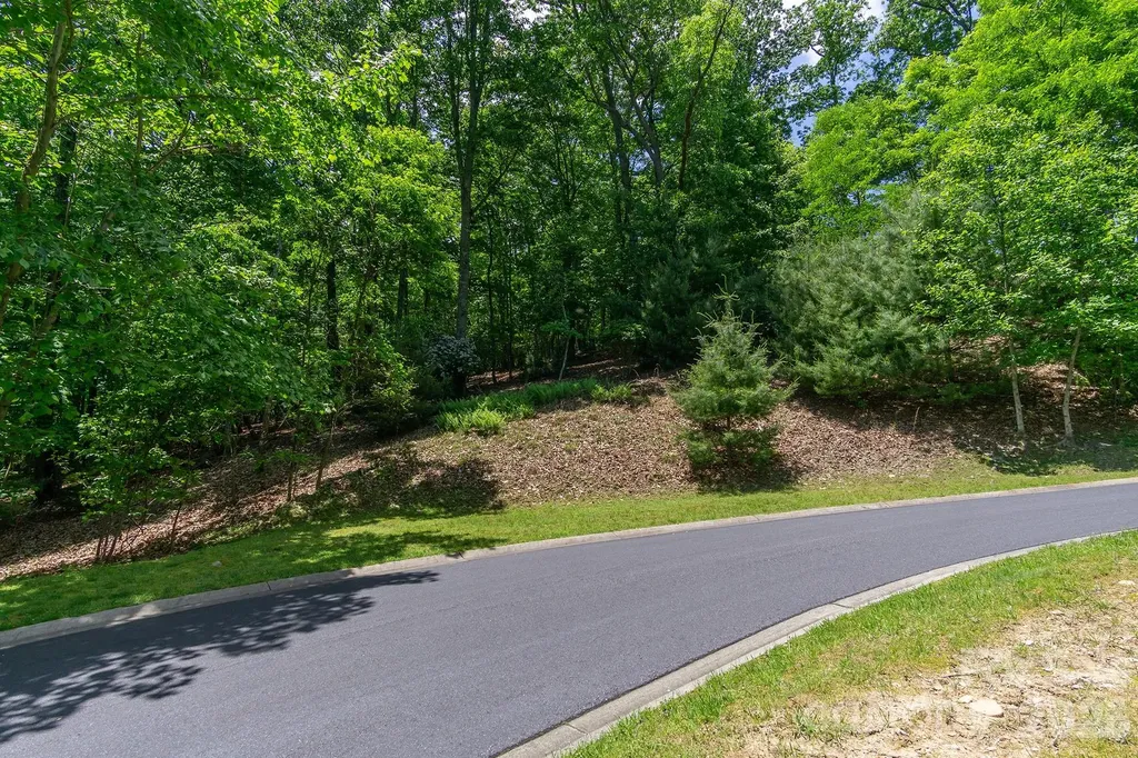 Lot 53r Mills River Way Horse Shoe NC 28742
