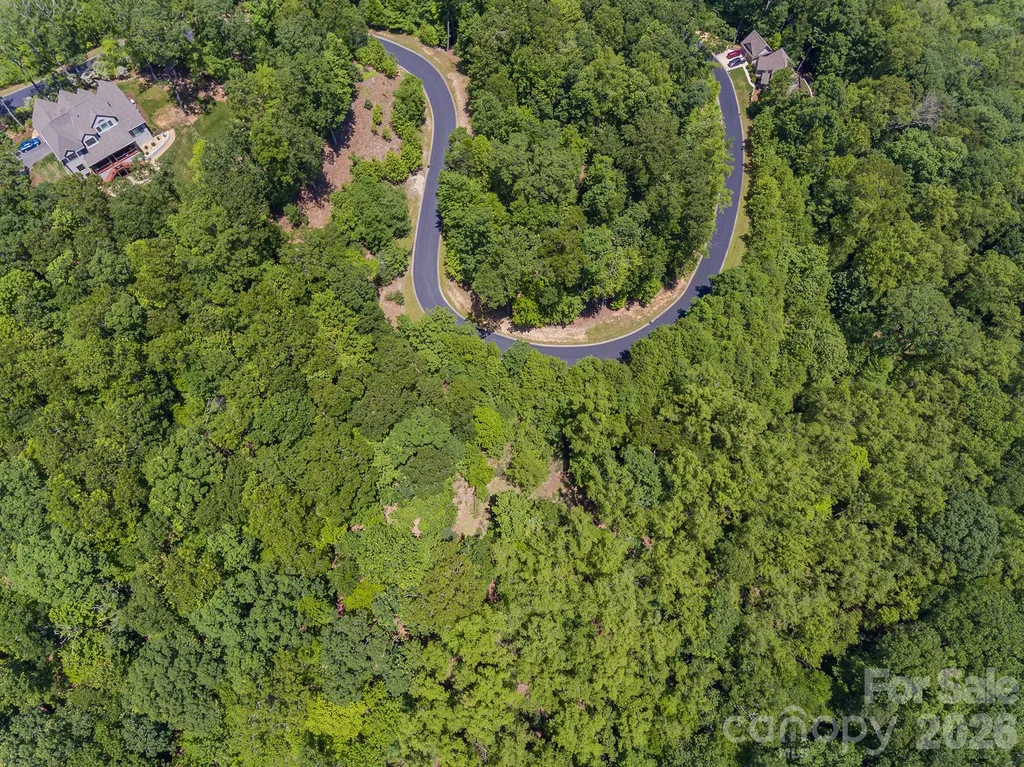 Lot 53r Mills River Way Horse Shoe NC 28742