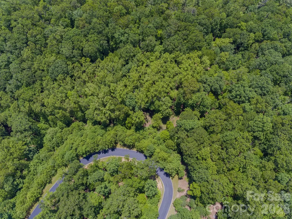 Lot 53r Mills River Way Horse Shoe NC 28742
