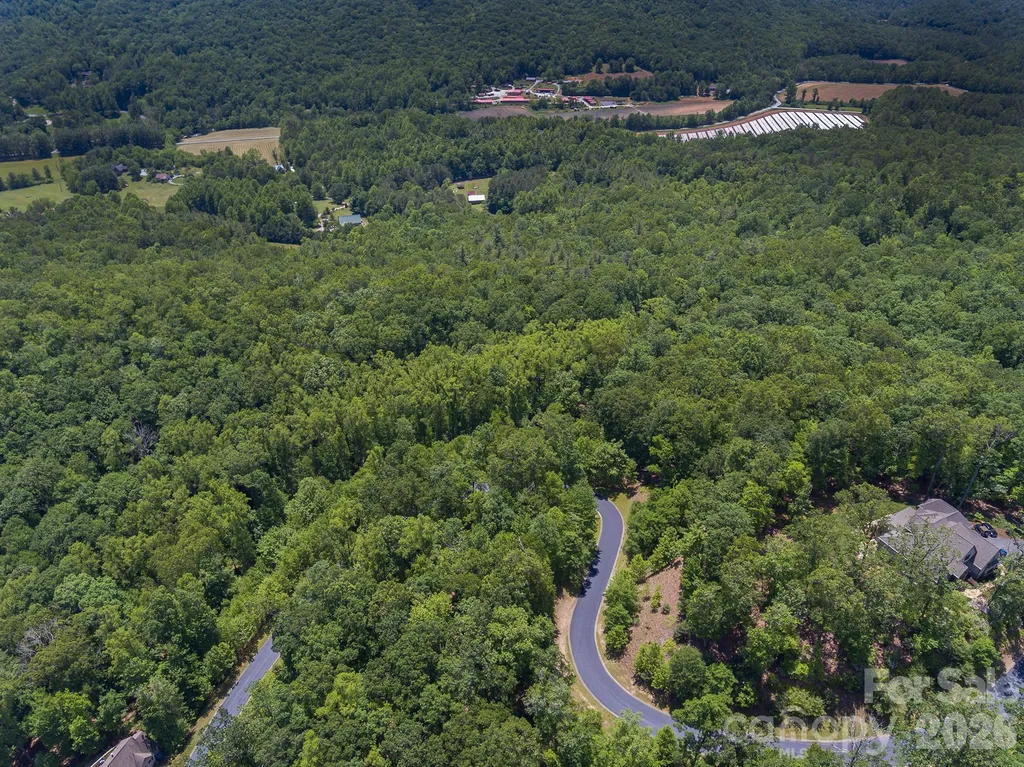 Lot 53r Mills River Way Horse Shoe NC 28742