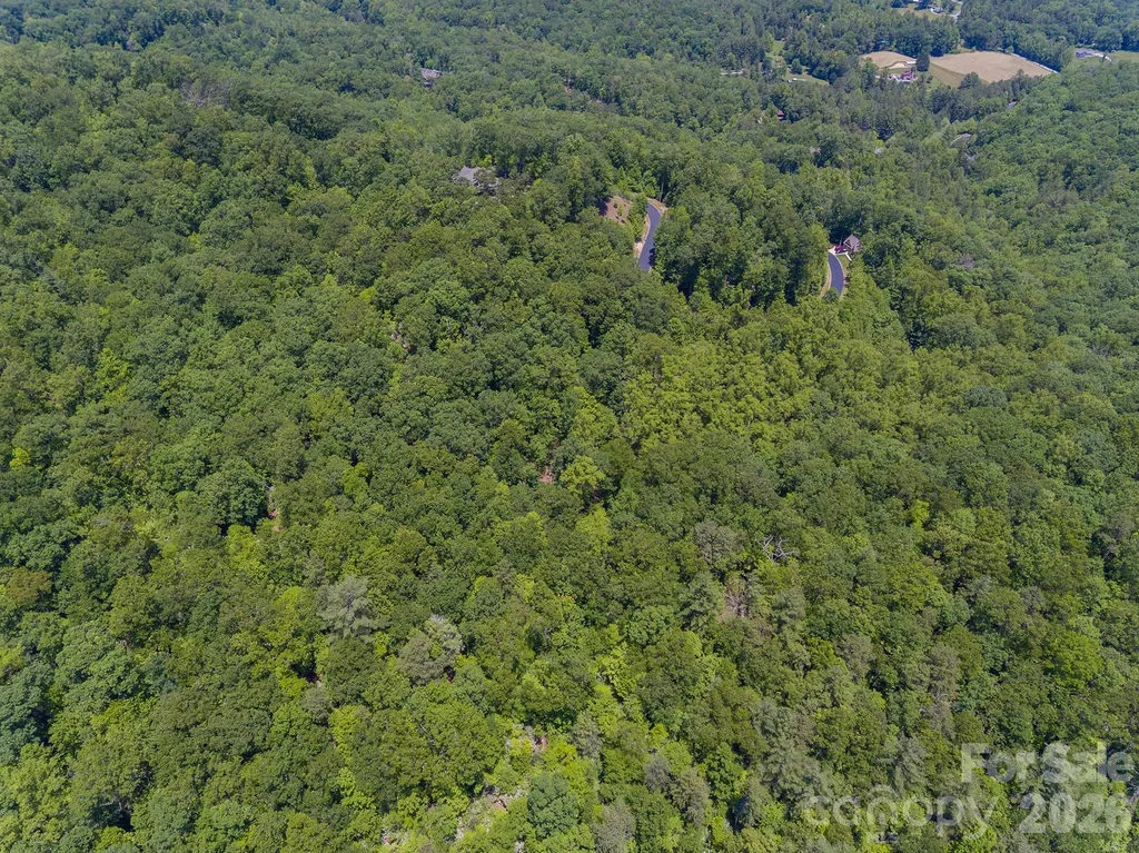 Lot 53r Mills River Way Horse Shoe NC 28742