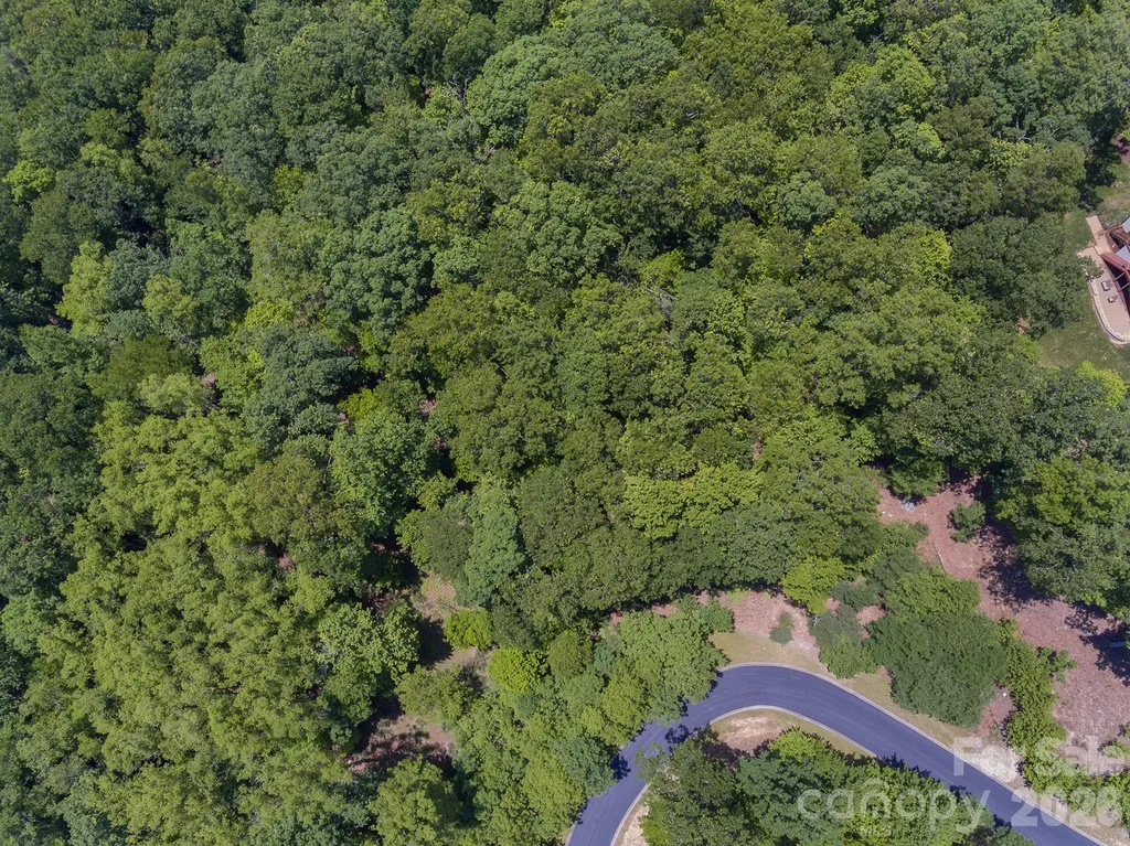Lot 53r Mills River Way Horse Shoe NC 28742