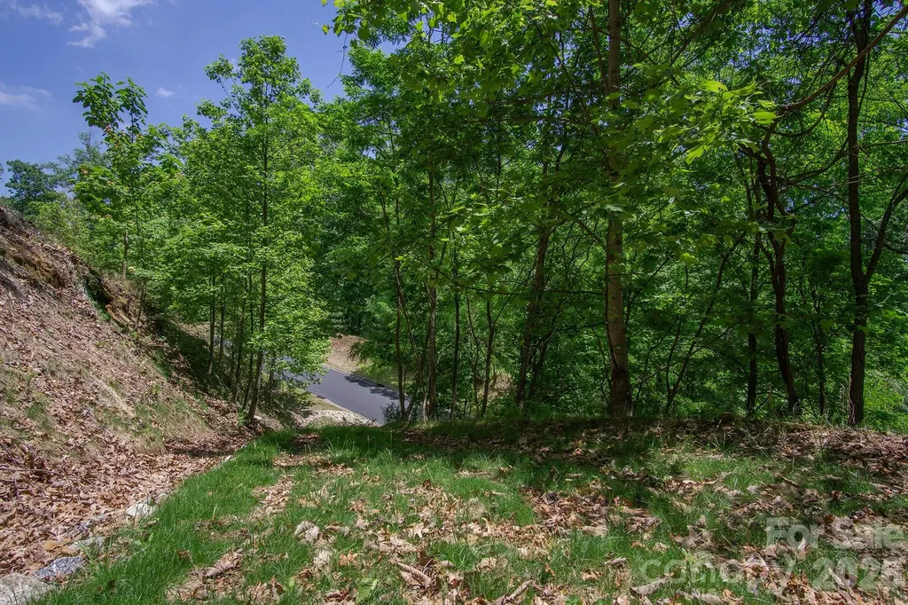 Lot 53r Mills River Way Horse Shoe NC 28742