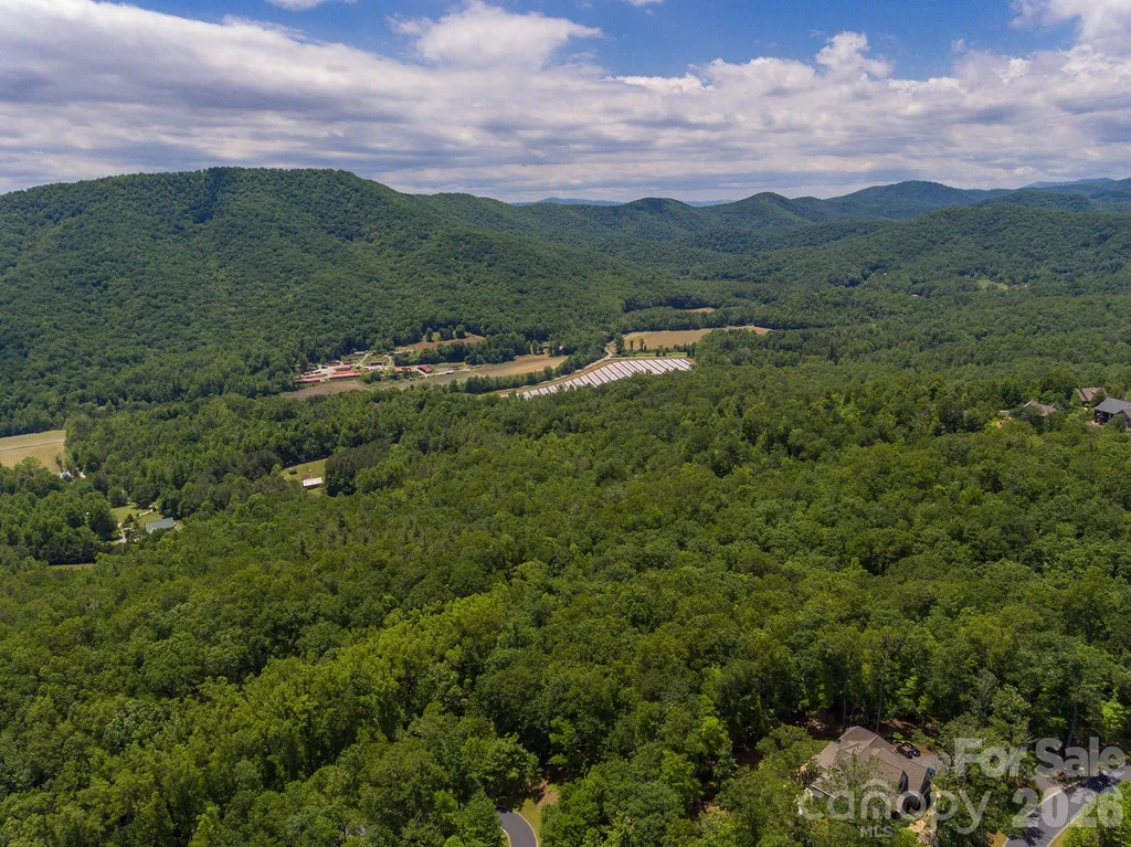 Lot 53r Mills River Way Horse Shoe NC 28742