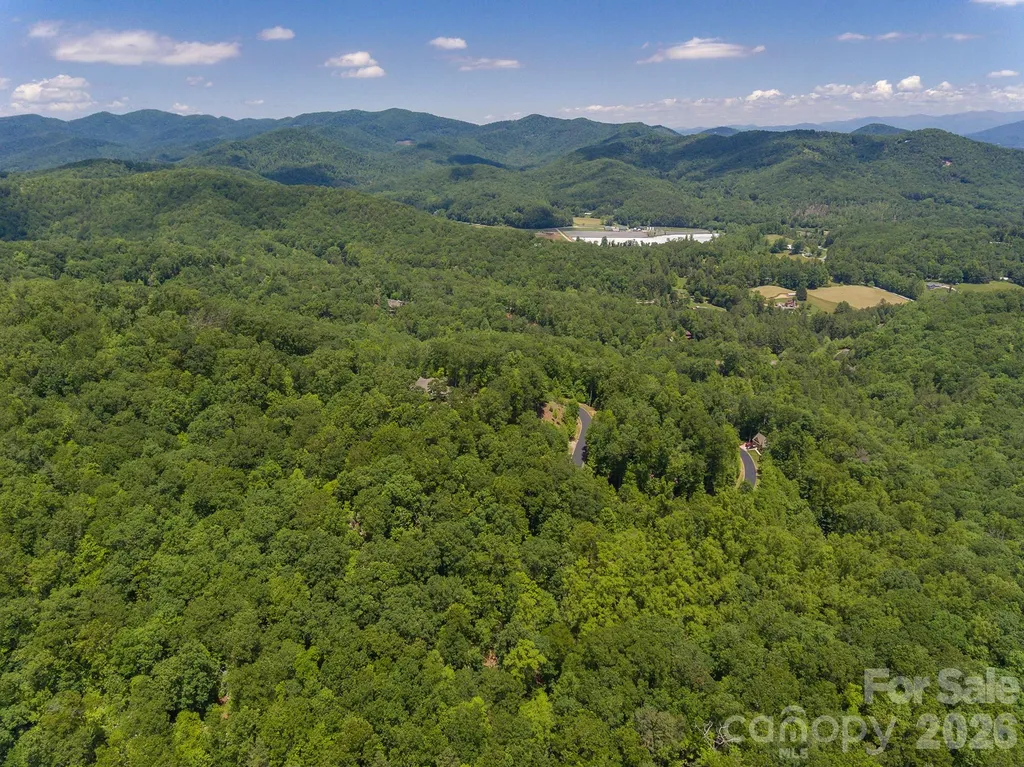 Lot 53r Mills River Way Horse Shoe NC 28742