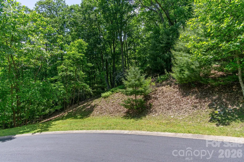 Lot 53r Mills River Way Horse Shoe NC 28742