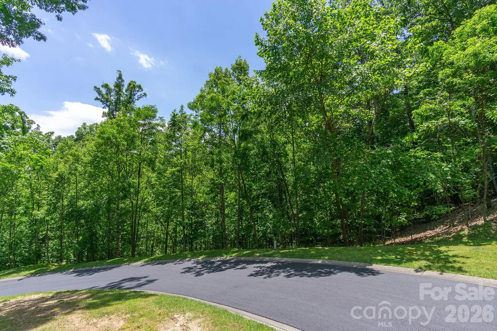 Lot 53r Mills River Way Horse Shoe NC 28742