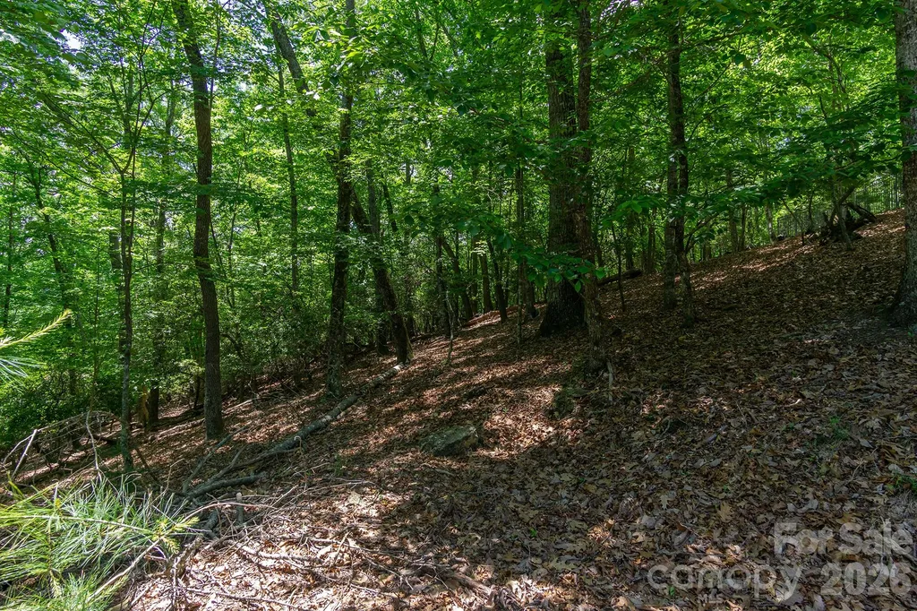 Lot 53r Mills River Way Horse Shoe NC 28742