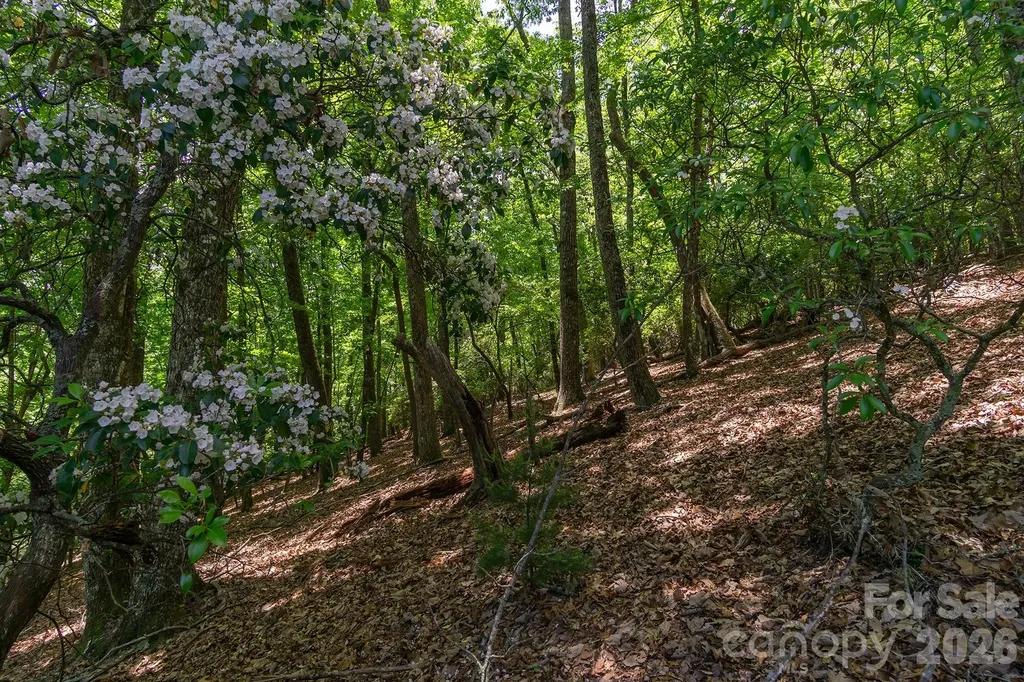 Lot 53r Mills River Way Horse Shoe NC 28742