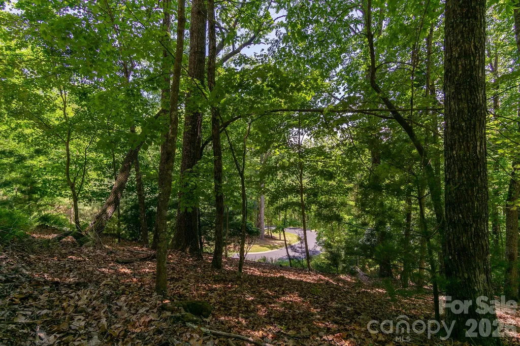 Lot 53r Mills River Way Horse Shoe NC 28742