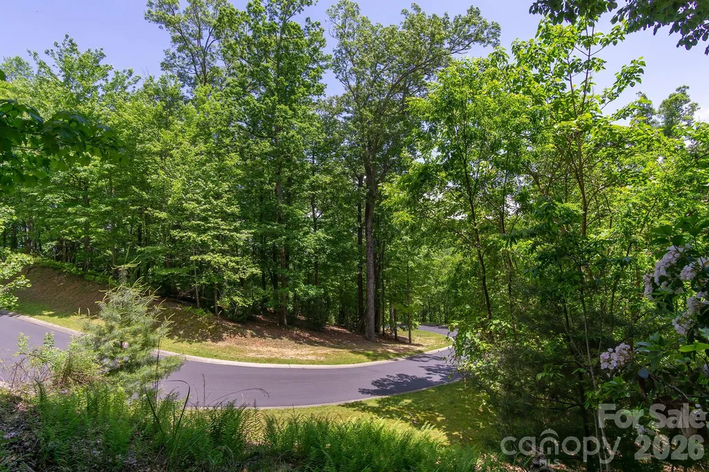 Lot 53r Mills River Way Horse Shoe NC 28742