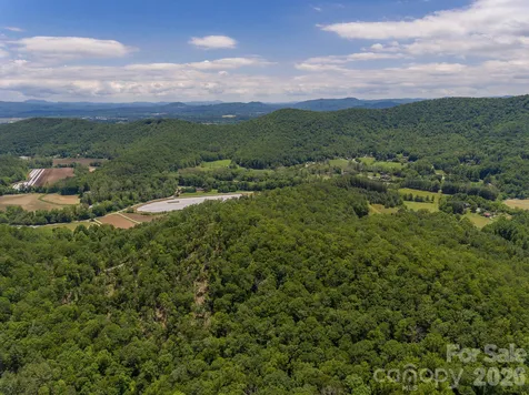 Lot 53r Mills River Way Horse Shoe NC 28742