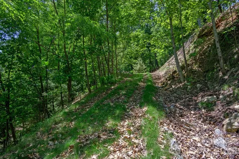 Lot 53r Mills River Way Horse Shoe NC 28742