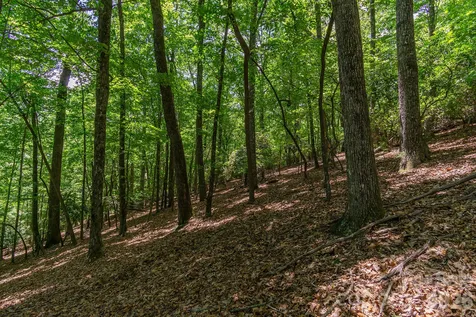 Lot 53r Mills River Way Horse Shoe NC 28742
