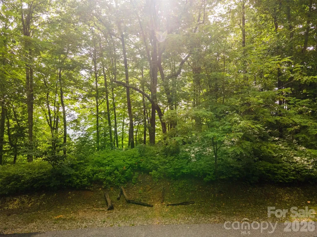 633 Steeplebush Court Tuckasegee NC 28783