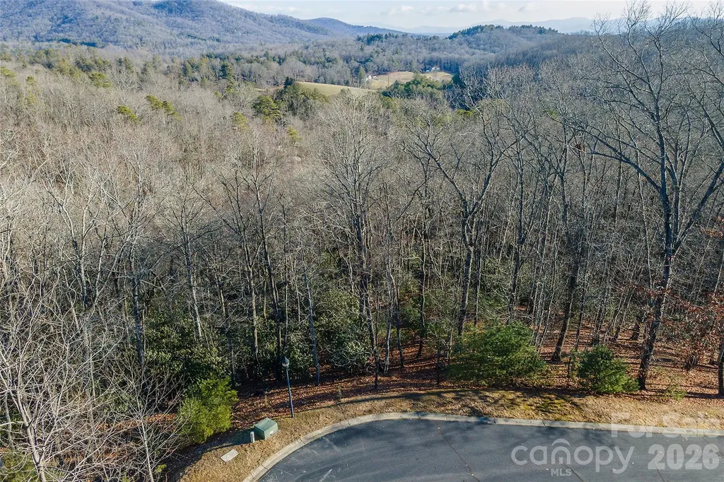80 Buckhead Trail Horse Shoe NC 28742