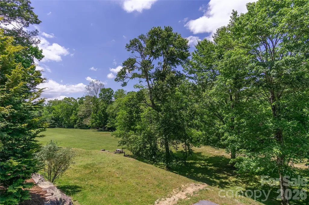 80 Buckhead Trail Horse Shoe NC 28742