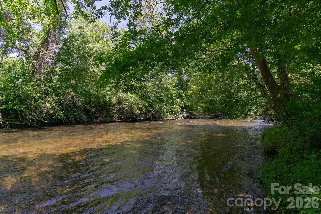 80 Buckhead Trail Horse Shoe NC 28742
