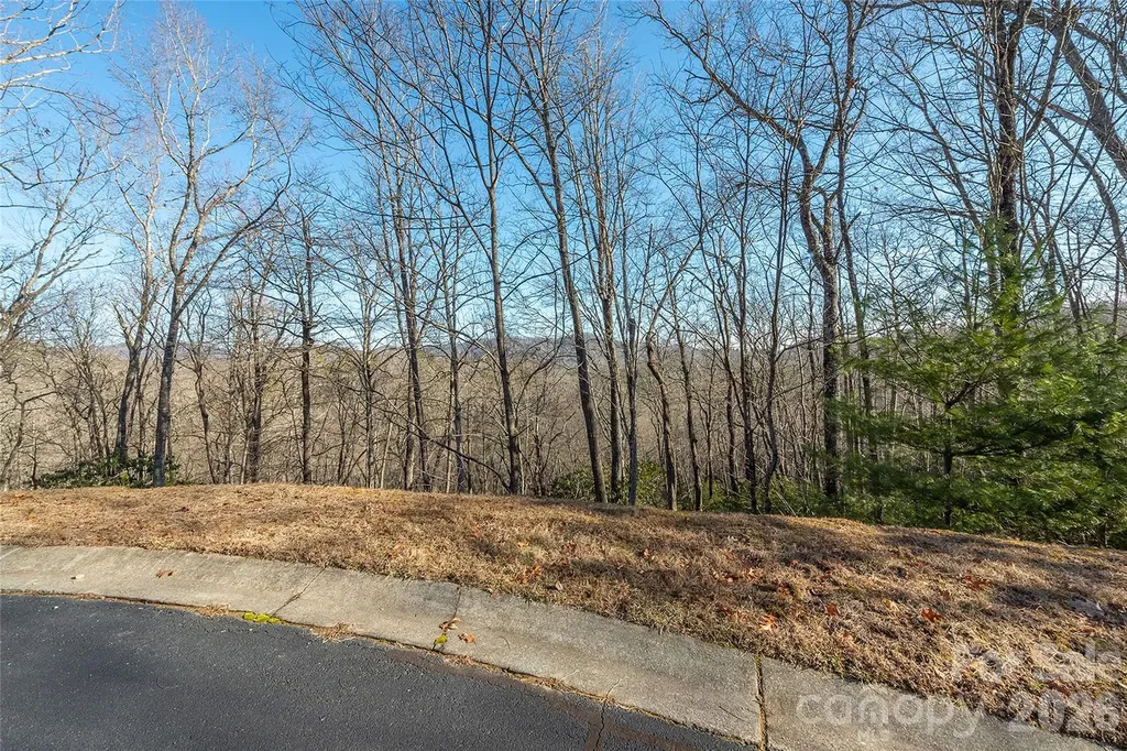 80 Buckhead Trail Horse Shoe NC 28742
