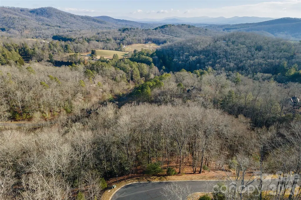80 Buckhead Trail Horse Shoe NC 28742