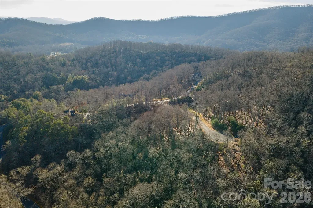 80 Buckhead Trail Horse Shoe NC 28742