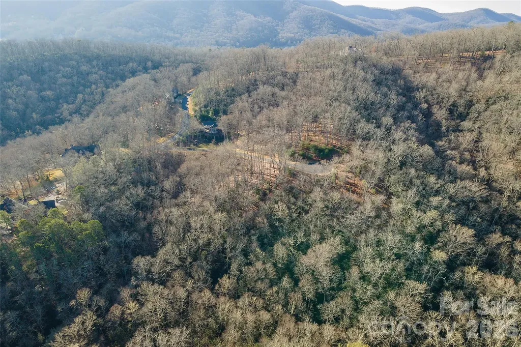 80 Buckhead Trail Horse Shoe NC 28742