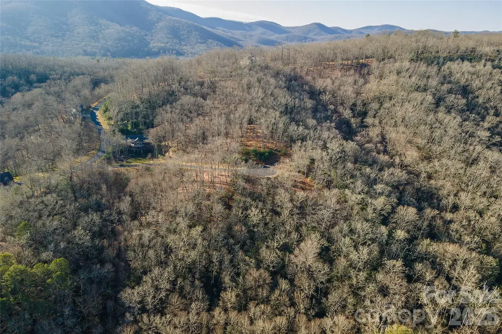 80 Buckhead Trail Horse Shoe NC 28742