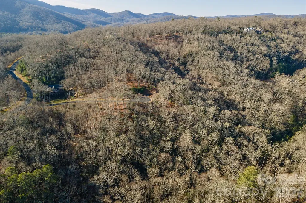 80 Buckhead Trail Horse Shoe NC 28742