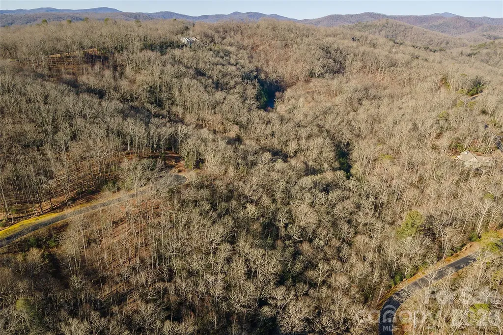 80 Buckhead Trail Horse Shoe NC 28742