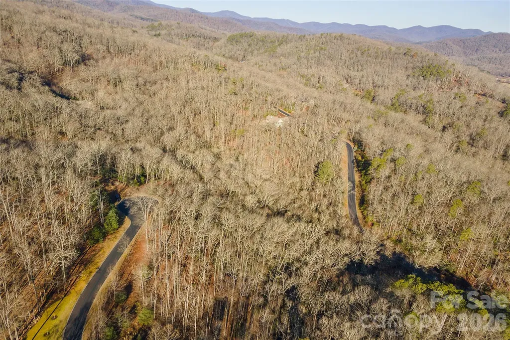 80 Buckhead Trail Horse Shoe NC 28742