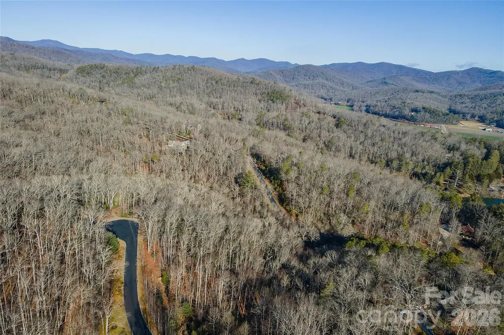 80 Buckhead Trail Horse Shoe NC 28742