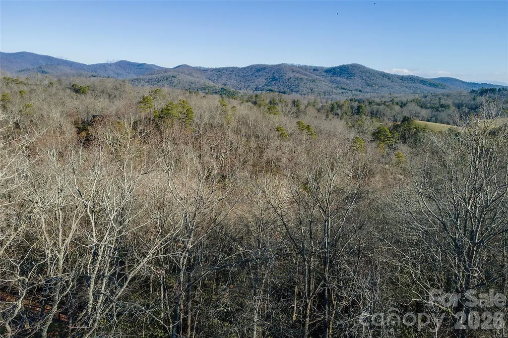 80 Buckhead Trail Horse Shoe NC 28742