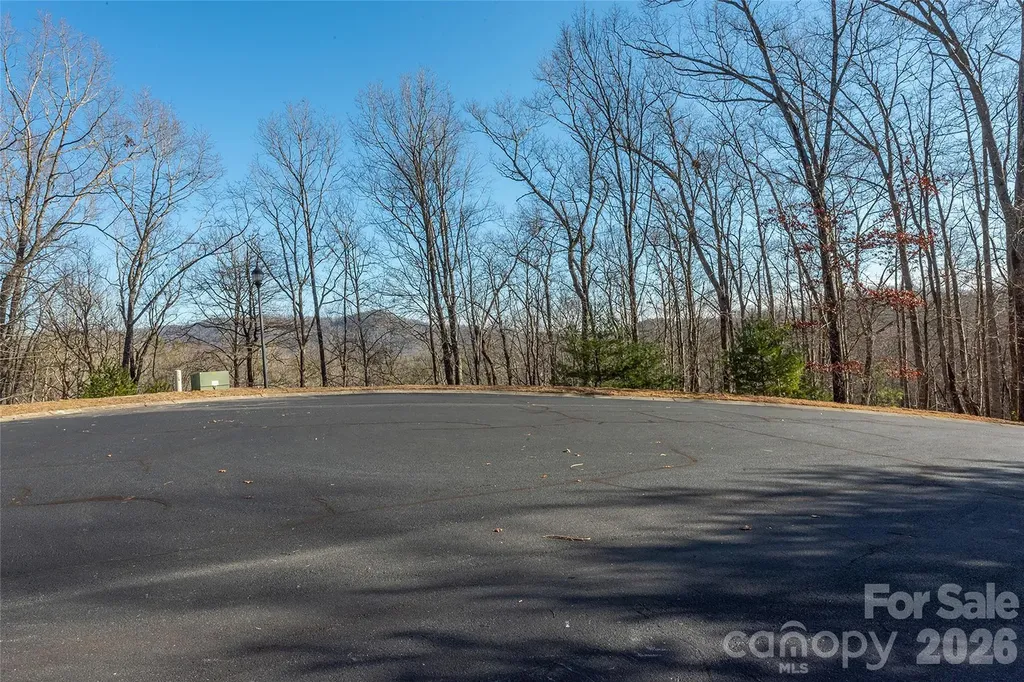 80 Buckhead Trail Horse Shoe NC 28742