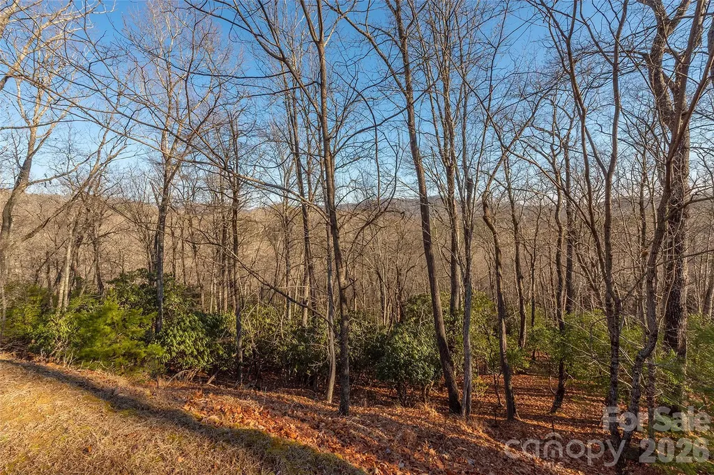80 Buckhead Trail Horse Shoe NC 28742