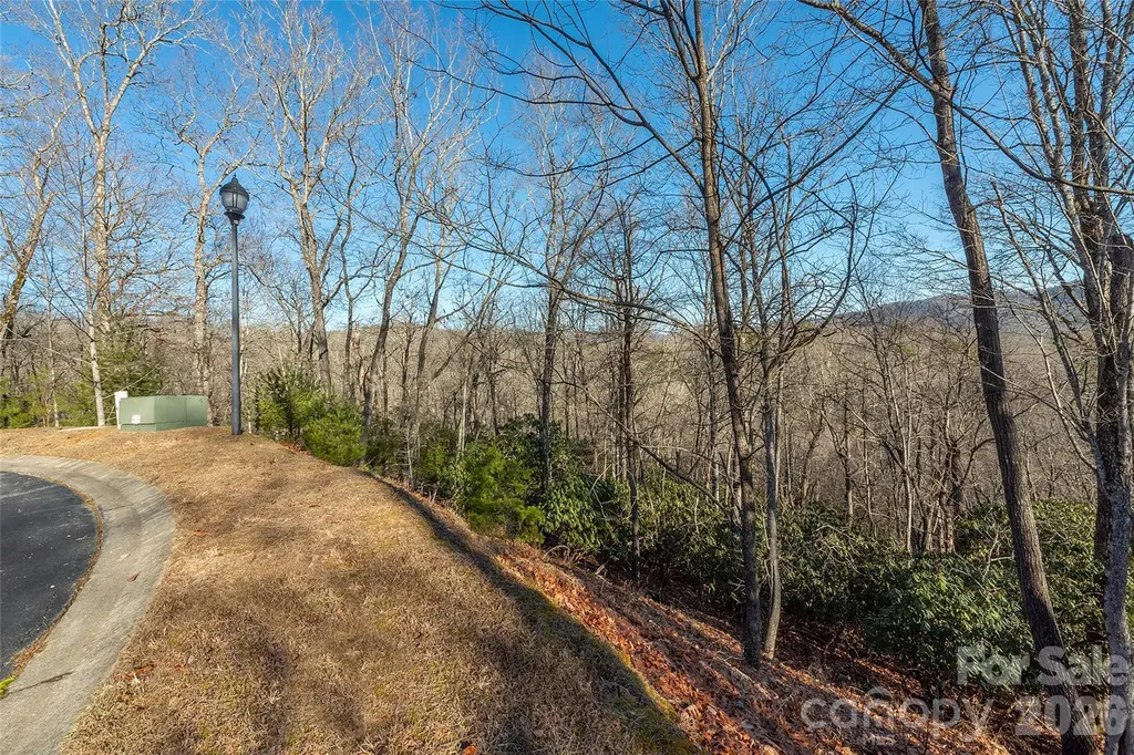 80 Buckhead Trail Horse Shoe NC 28742