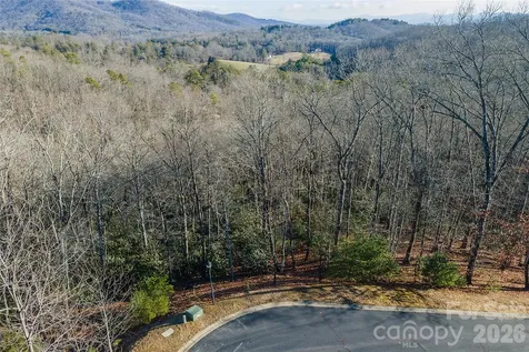 80 Buckhead Trail Horse Shoe NC 28742