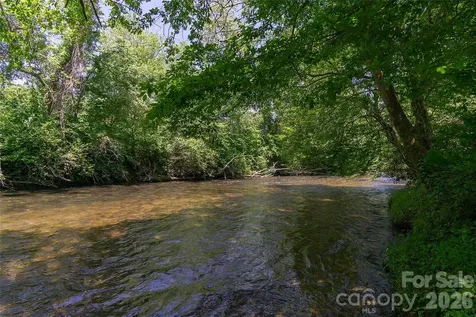 80 Buckhead Trail Horse Shoe NC 28742