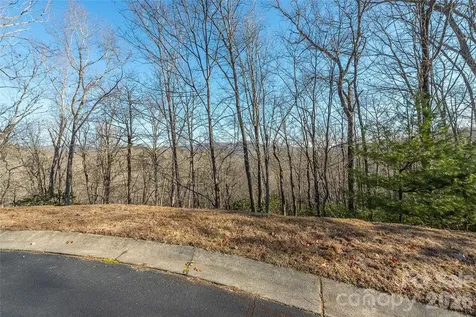 80 Buckhead Trail Horse Shoe NC 28742