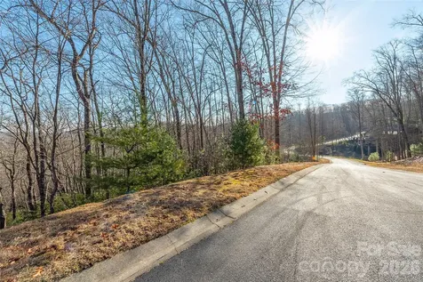 80 Buckhead Trail Horse Shoe NC 28742
