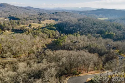 80 Buckhead Trail Horse Shoe NC 28742