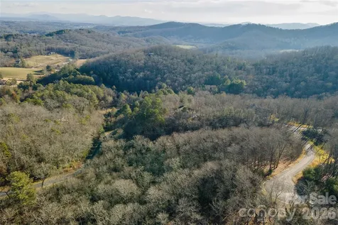 80 Buckhead Trail Horse Shoe NC 28742