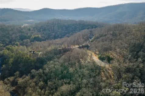 80 Buckhead Trail Horse Shoe NC 28742