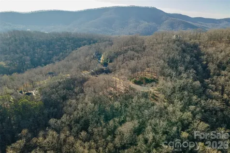 80 Buckhead Trail Horse Shoe NC 28742