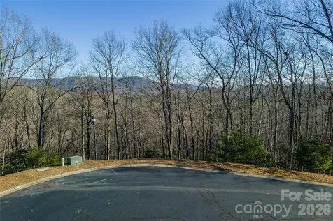 80 Buckhead Trail Horse Shoe NC 28742