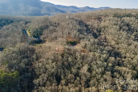 80 Buckhead Trail Horse Shoe NC 28742