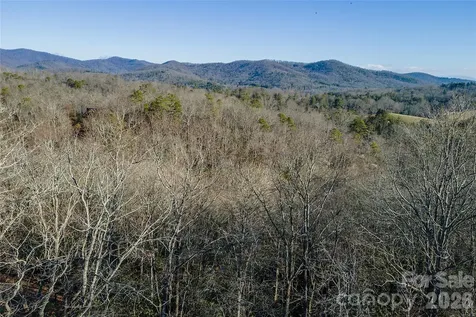80 Buckhead Trail Horse Shoe NC 28742