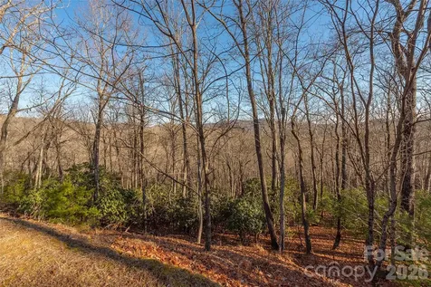 80 Buckhead Trail Horse Shoe NC 28742