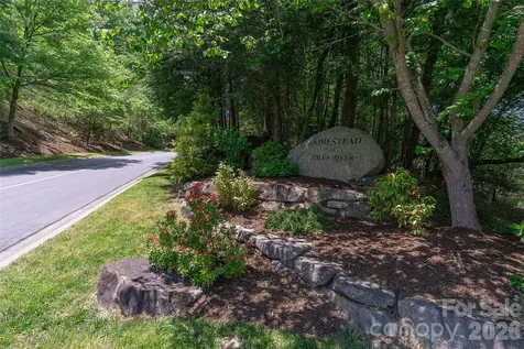 80 Buckhead Trail Horse Shoe NC 28742