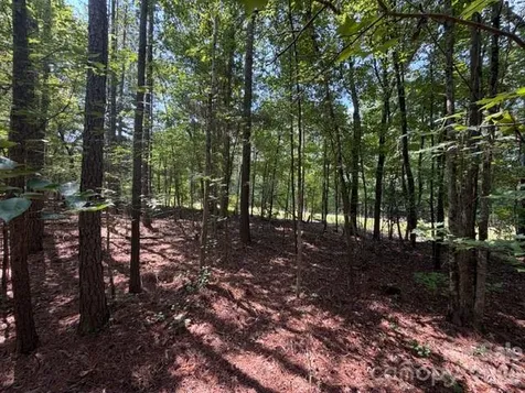 21 Ac Sweet Hope Church Road Carlisle SC 29031